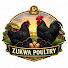 G7Jqag9Ub7c-channel-avatar-Zukwa Poultry