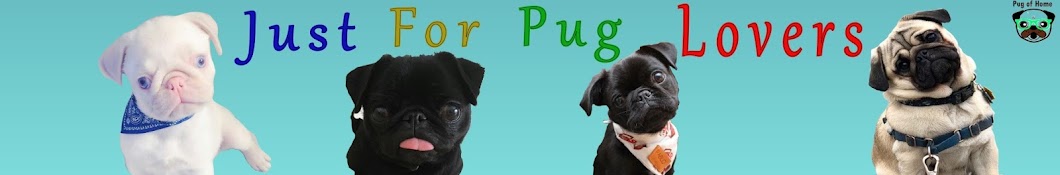 Pug Of Home Avatar canale YouTube 