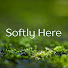 OCNHrEzSwS0-channel-avatar-Softly Here