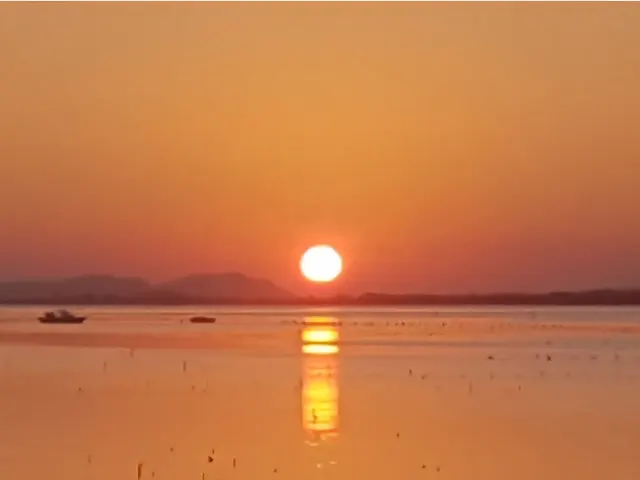 배반장