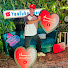 zL3tmlsqfpA-channel-avatar-Maged Hanefa
