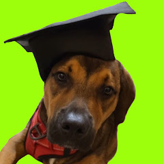 Word Nerd Trivia Quizzes