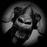 aD2l39hgnWg-channel-avatar-morooker