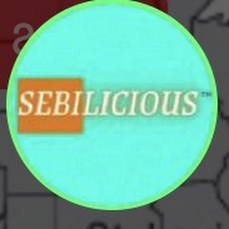 Sebilicious