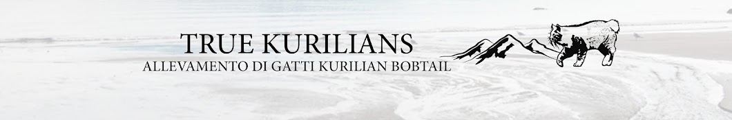 True Kurilians YouTube-Kanal-Avatar