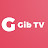 Gib TV