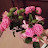 @Aristina2012
