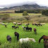 _uwGYk4N_DQ-channel-avatar-Moolmanshoek