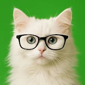 CutePet
