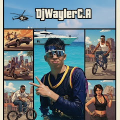 〽️DjWayler_CarAudio〽️