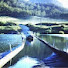 JAzgFuUVdhA-channel-avatar-Burragorang Valley