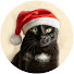 8hBUG6pSIUE-channel-avatar-黒猫ジジの日記