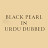 Black Pearl in Urdu Dubbed - Siyah İnci