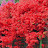 @생각만해도좋아