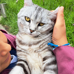 Lili
