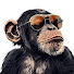 JsvsjyJ55bo-channel-avatar-Zoe Gossip
