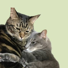 ちくわちゃんねる