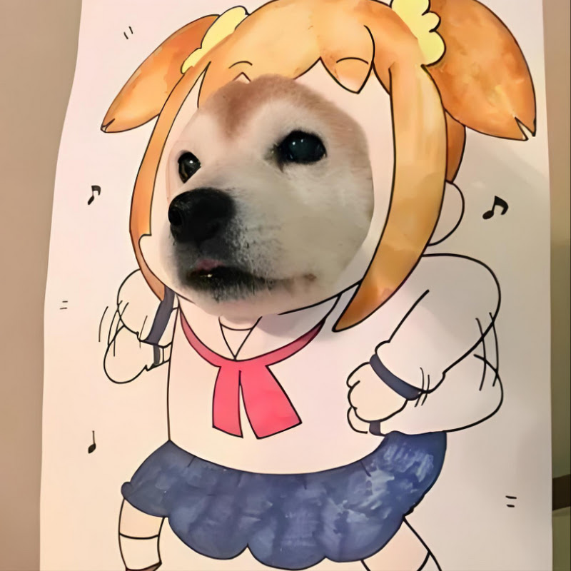 Puppy classmate