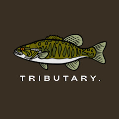Tributary Fishing