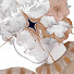 62ACeu2PYOs-channel-avatar-my_st