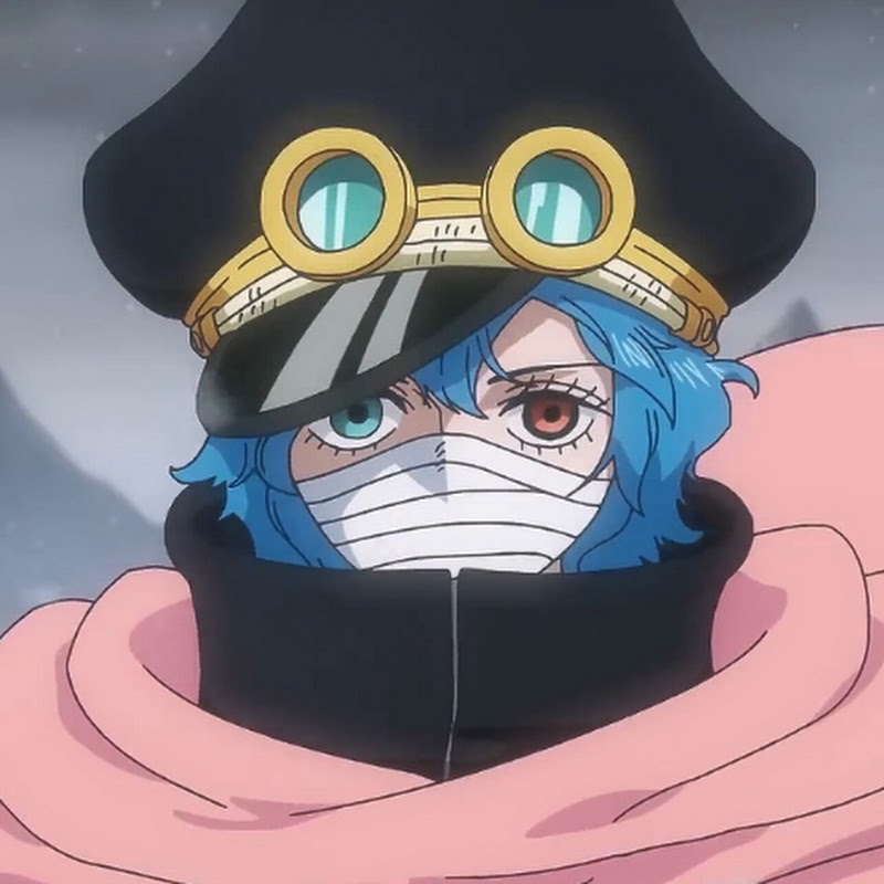 Clips - One piece 