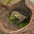 suuK4OEockY-channel-avatar-A Great Alternative