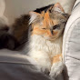 susu