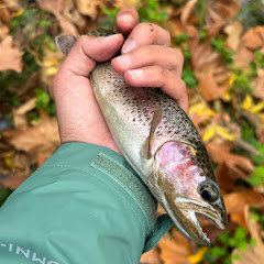 Aspective Angling