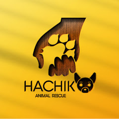 Hachiko Animal Rescue