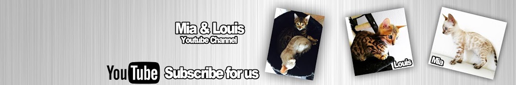 Bengal Cats Mia & Louis YouTube channel avatar