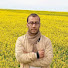 xGBgQmMXU98-channel-avatar-Massire