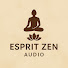 m-uPETdJ9Vo-channel-avatar-ESPRIT ZEN AUDIO