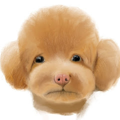 モカ コナ トイプーファミリー　Mocha and Kona toypoodles familyアイコン画像
