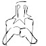 iuwUMp7pT2c-channel-avatar-Freaki