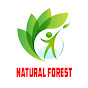Natural Forest logo