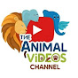 The Animal Videos Channel logo