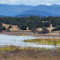 CiRVlafrYZ8-channel-avatar-White Mountain Wellness Farm and Cottages