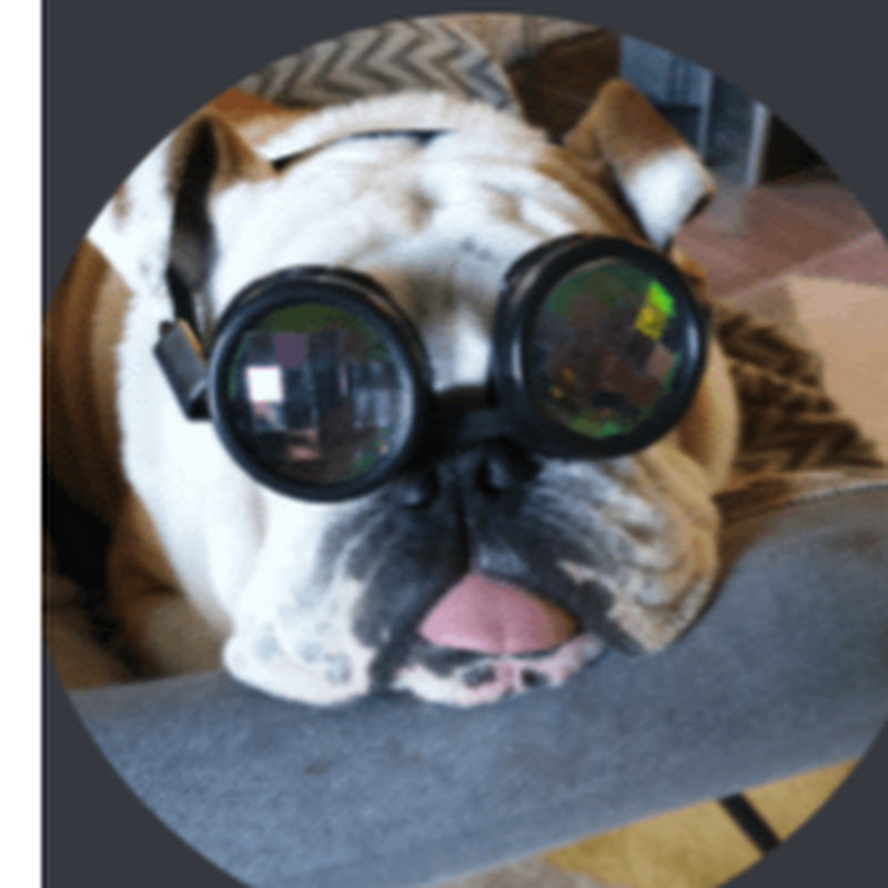TheGamingBulldog