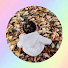 qDVnxxTH_Hw-channel-avatar-Filmed.By.Rania🌸🐚
