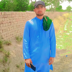 Shahzaib Baloch 7710