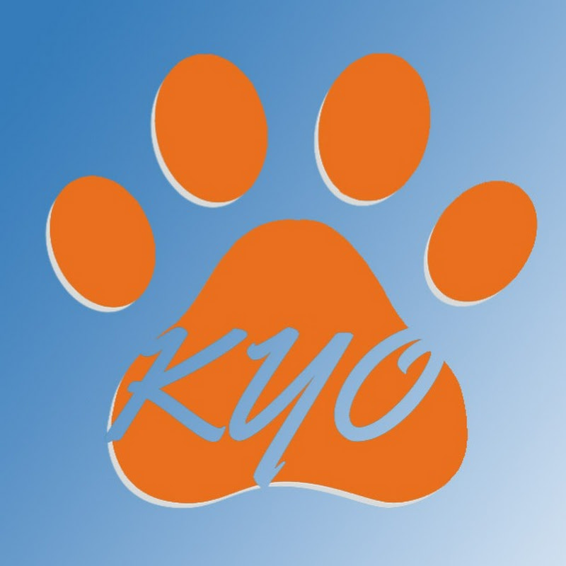 Kyoanime