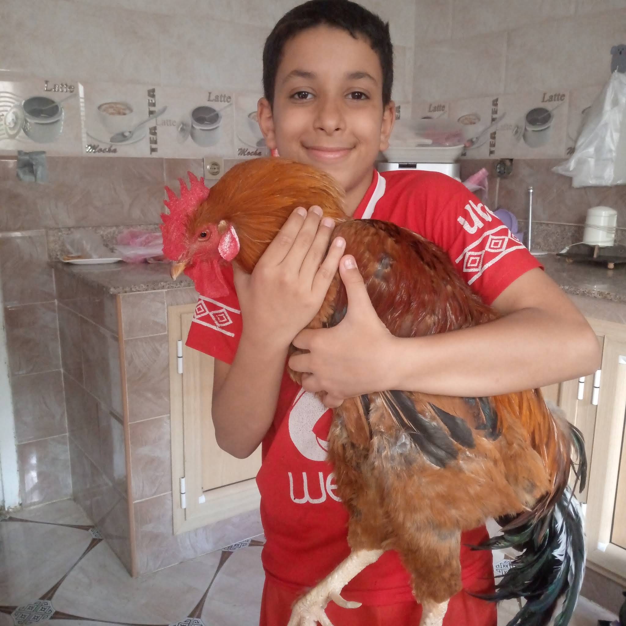 Post from امير شياد AMIR chied