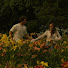 q8DKnD9iFJo-channel-avatar-auraplaylist 