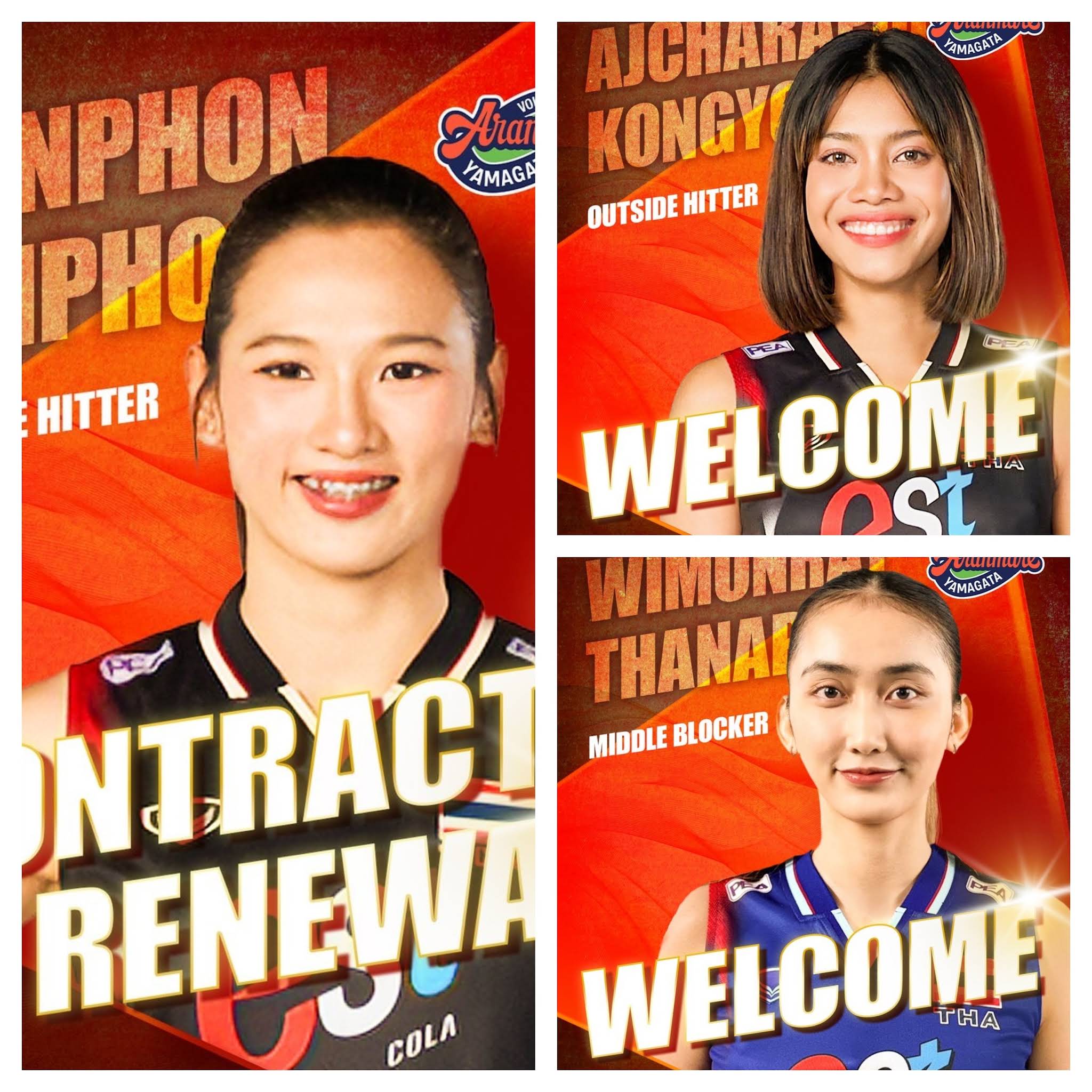 Post from BeeJoy Volleytube