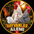 Z0ZQd-V0k-c-channel-avatar-Hayvanlar Alemi