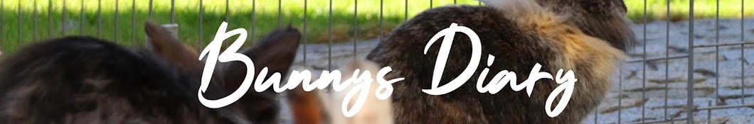 Bunnies Diary Banner