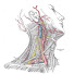 6QTsNrEycuE-channel-avatar-Yaya Orchestra