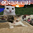 @Coolguy88-e6m