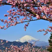 Hanagoori Official