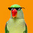 Parrot Safari